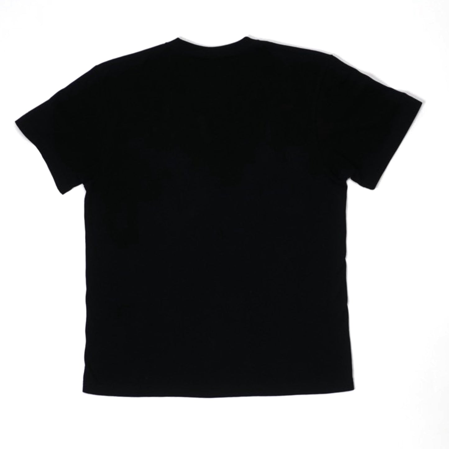 ボドングラフィックT-shirt (black)